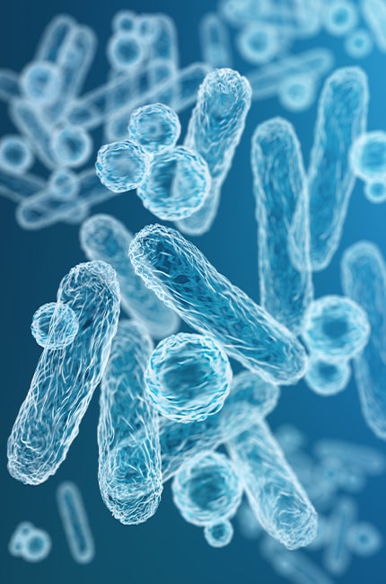 Strain Engineering / Development Services